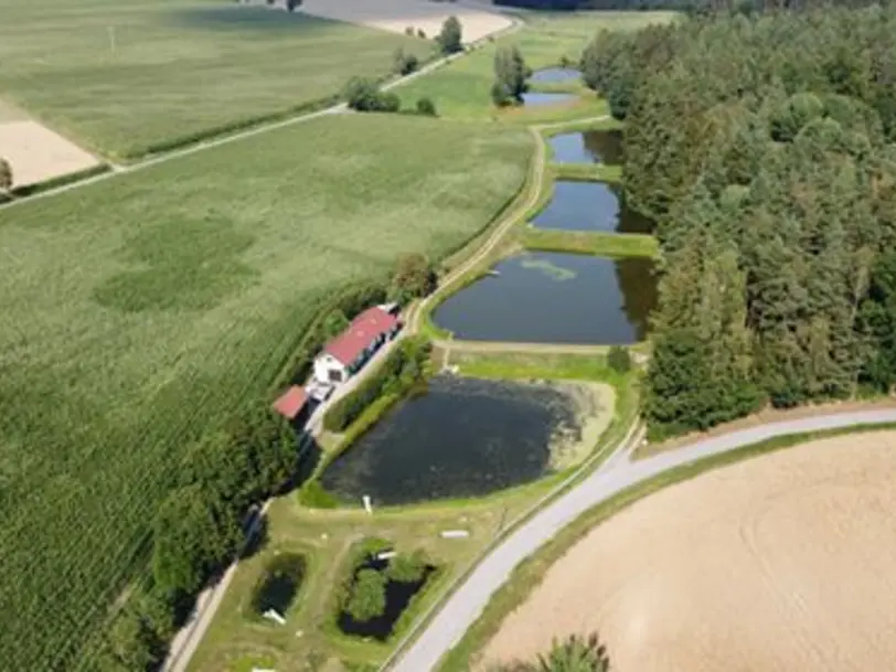 Fischzucht Siller in Störnstein